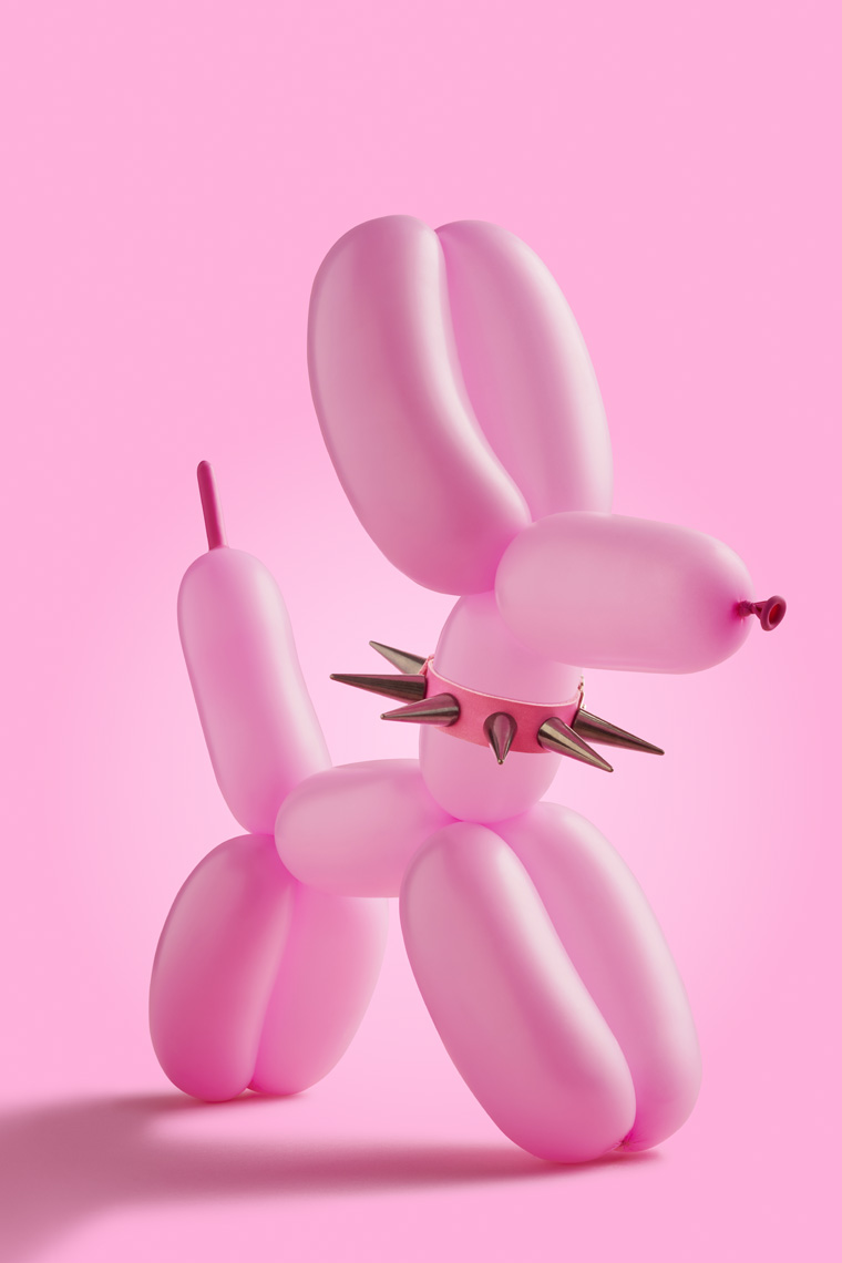 Pink Balloon Poodle Still Life Photography
