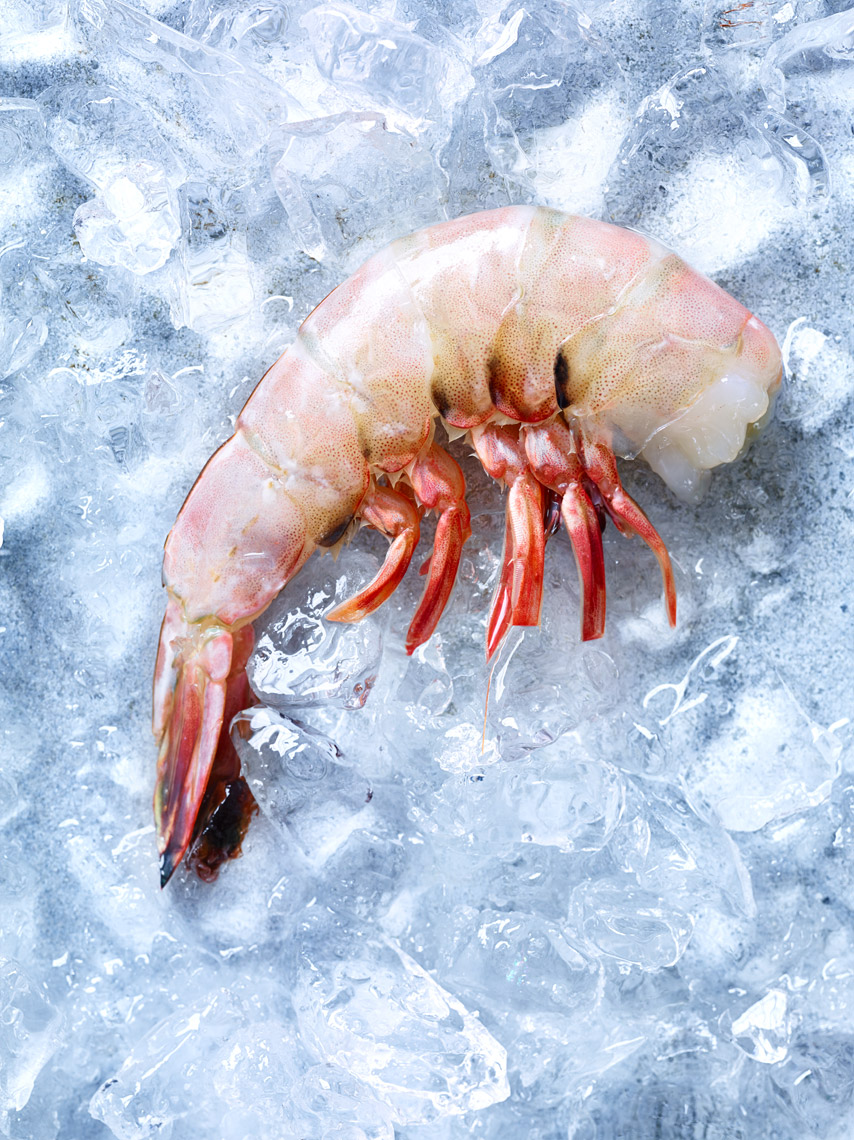 SF Bay Area Food Photographer | James Ellerker | Raw shrimp